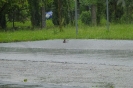 Hochwasser 2013